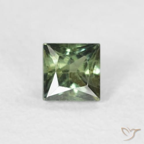 0.24ct 天然 ダークグリーン サファイア, 四角形, VS