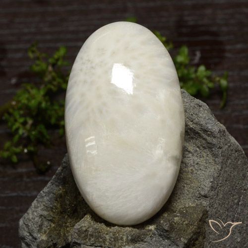 48.61ct 天然 薄いホワイト スコレサイト, 楕円形, オペーク