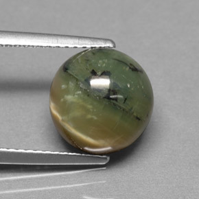 3.63カラットの天然黄色がかった緑サーペンティン（10.04 mm・ラウンドカット）