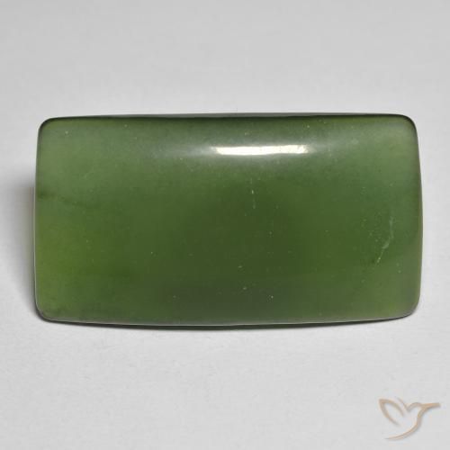 25.58ct 天然 ダークグリーン サーペンティン, クッション, 半透明