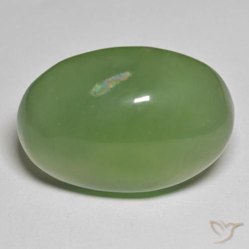 49.70ct 天然 海藻グリーン サーペンティン, 楕円形, 半透明
