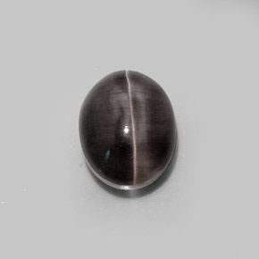 5.20カラットの天然灰色がかった茶Sillimanite Cat's Eye（10.5×8.1 mm・オーバルカット）