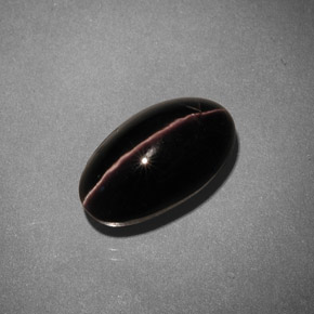 5.42カラットの天然ブラウンSillimanite Cat's Eye（12.6×7.2 mm・オーバルカット）