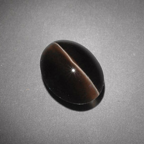 4.54カラットの天然ブラウンSillimanite Cat's Eye（10.7×8.1 mm・透明）