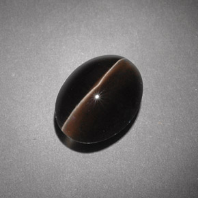 4.54カラットの天然ブラウンSillimanite Cat's Eye（10.7×8.1 mm・透明）