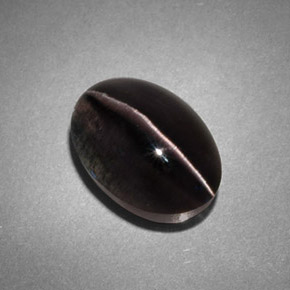 4.45カラットの天然スモークSillimanite Cat's Eye（10.8×7.6 mm・透明）