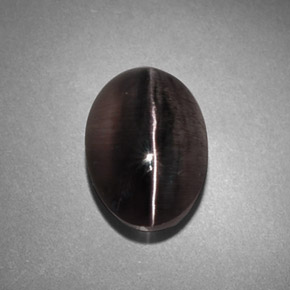 4.45カラットの天然スモークSillimanite Cat's Eye（10.8×7.6 mm・透明）