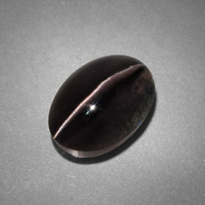 4.45カラットの天然スモークSillimanite Cat's Eye（10.8×7.6 mm・透明）