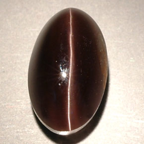 4.63カラットの天然ブラウンSillimanite Cat's Eye（11.2×6.8 mm・透明）