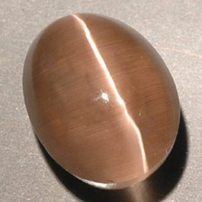3.56カラットの天然ブラウンSillimanite Cat's Eye（9.3×7.1 mm・透明）