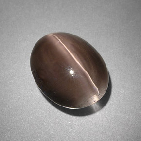 4.25カラットの天然スモークSillimanite Cat's Eye（10.6×8.4 mm・透明）