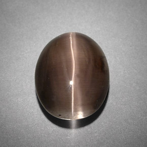 4.25カラットの天然スモークSillimanite Cat's Eye（10.6×8.4 mm・透明）