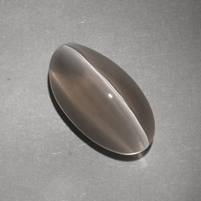 7.02カラットの天然ブラウンSillimanite Cat's Eye（14.8×8.2 mm・透明）