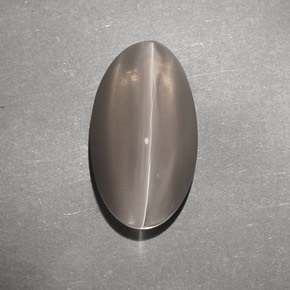 7.02カラットの天然ブラウンSillimanite Cat's Eye（14.8×8.2 mm・透明）