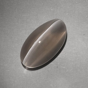 7.02カラットの天然ブラウンSillimanite Cat's Eye（14.8×8.2 mm・透明）