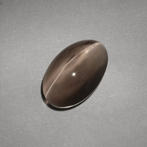 4.88カラットの天然ブラウンSillimanite Cat's Eye（12.1×7.7 mm・透明）