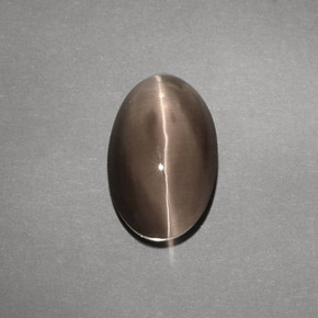 4.88カラットの天然ブラウンSillimanite Cat's Eye（12.1×7.7 mm・透明）