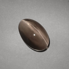 4.88カラットの天然ブラウンSillimanite Cat's Eye（12.1×7.7 mm・透明）