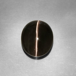 4.11カラットの天然スモークSillimanite Cat's Eye（10.5×8.8 mm・透明）