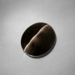 4.11カラットの天然スモークSillimanite Cat's Eye（10.5×8.8 mm・透明）