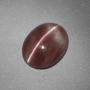 1.60カラットの天然薄いシナモンブラウンSillimanite Cat's Eye（9.3×7.4 mm・オーバルカット）