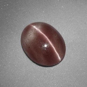 1.60カラットの天然薄いシナモンブラウンSillimanite Cat's Eye（9.3×7.4 mm・オーバルカット）