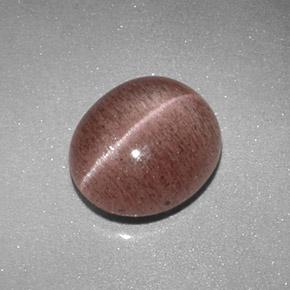 2.04カラットの天然薄いシナモンブラウンSillimanite Cat's Eye（8.8×7.6 mm・オーバルカット）