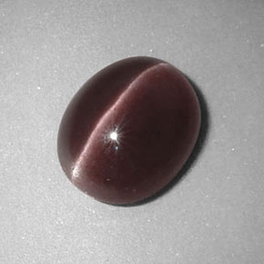 2.67カラットの天然ブラウンSillimanite Cat's Eye（9.8×8 mm・透明）