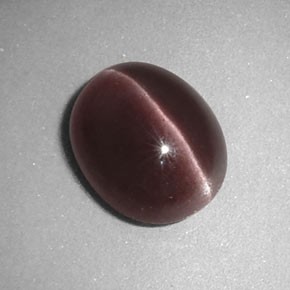 2.67カラットの天然ブラウンSillimanite Cat's Eye（9.8×8 mm・透明）