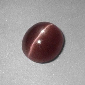 1.64カラットの天然ペカンブラウンSillimanite Cat's Eye（8.4×7.5 mm・オーバルカット）