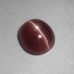 1.64カラットの天然ペカンブラウンSillimanite Cat's Eye（8.4×7.5 mm・オーバルカット）