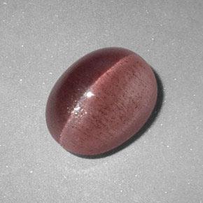 2.89カラットの天然濃いローズピンクSillimanite Cat's Eye（9.6×7.4 mm・オーバルカット）