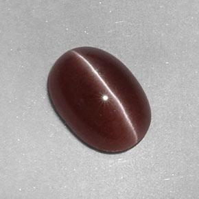 2.05カラットの天然ペカンブラウンSillimanite Cat's Eye（9.6×6.7 mm・オーバルカット）