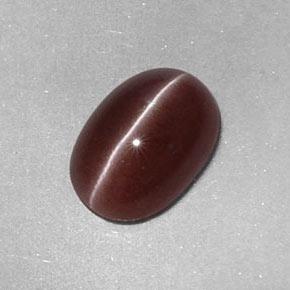 2.05カラットの天然ペカンブラウンSillimanite Cat's Eye（9.6×6.7 mm・オーバルカット）