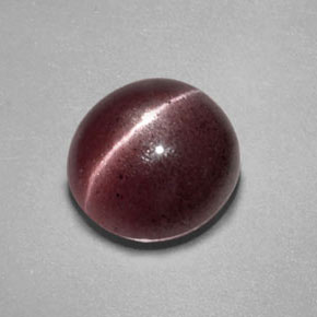 2.55カラットの天然ブラウンSillimanite Cat's Eye（8.8×8.4 mm・透明）