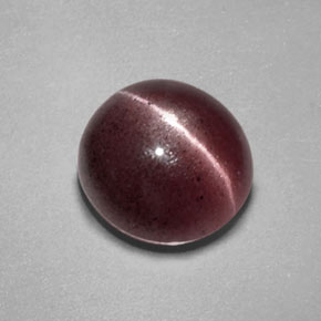 2.55カラットの天然ブラウンSillimanite Cat's Eye（8.8×8.4 mm・透明）