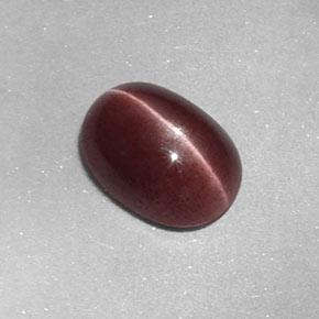 1.58カラットの天然ミディアムブラウンSillimanite Cat's Eye（8.8×6.4 mm・オーバルカット）
