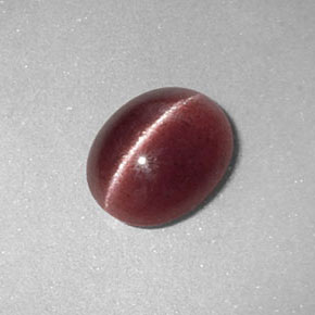 1.26カラットの天然ブラウンSillimanite Cat's Eye（8.1×6.6 mm・透明）