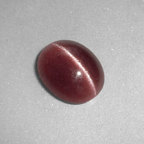 1.26カラットの天然ブラウンSillimanite Cat's Eye（8.1×6.6 mm・透明）