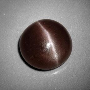 6.99カラットの天然ミディアムブラウンSillimanite Cat's Eye（12.35 mm・ラウンドカット）