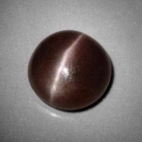 6.99カラットの天然ミディアムブラウンSillimanite Cat's Eye（12.35 mm・ラウンドカット）