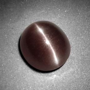 3.29カラットの天然ミディアムブラウンSillimanite Cat's Eye（9.6×8.4 mm・オーバルカット）