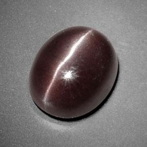 3.85カラットの天然チョコレートブラウンSillimanite Cat's Eye（10.5×8.7 mm・オーバルカット）