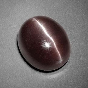 3.85カラットの天然チョコレートブラウンSillimanite Cat's Eye（10.5×8.7 mm・オーバルカット）