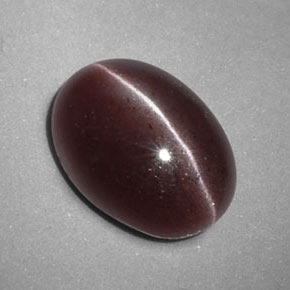 3.47カラットの天然ブラウンSillimanite Cat's Eye（11.8×8.5 mm・オーバルカット）