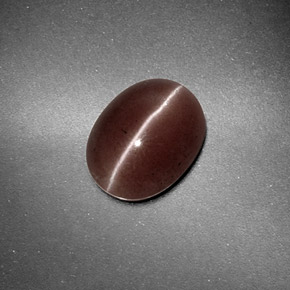 1.59カラットの天然ブラウンSillimanite Cat's Eye（9.2×7.2 mm・オーバルカット）