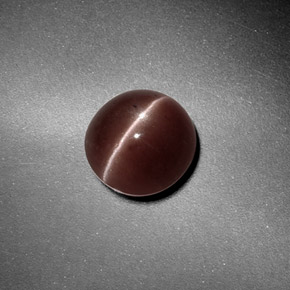 1.82カラットの天然ブラウンSillimanite Cat's Eye（7.32 mm・ラウンドカット）