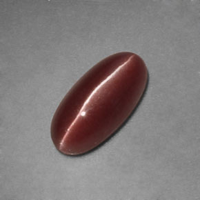 1.12カラットの天然ブラウンSillimanite Cat's Eye（9.3×4.5 mm・透明）