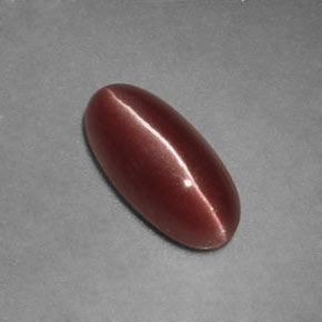 1.12カラットの天然ブラウンSillimanite Cat's Eye（9.3×4.5 mm・透明）