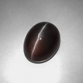 4.57カラットの天然灰色がかった茶Sillimanite Cat's Eye（11.3×8.9 mm・オーバルカット）